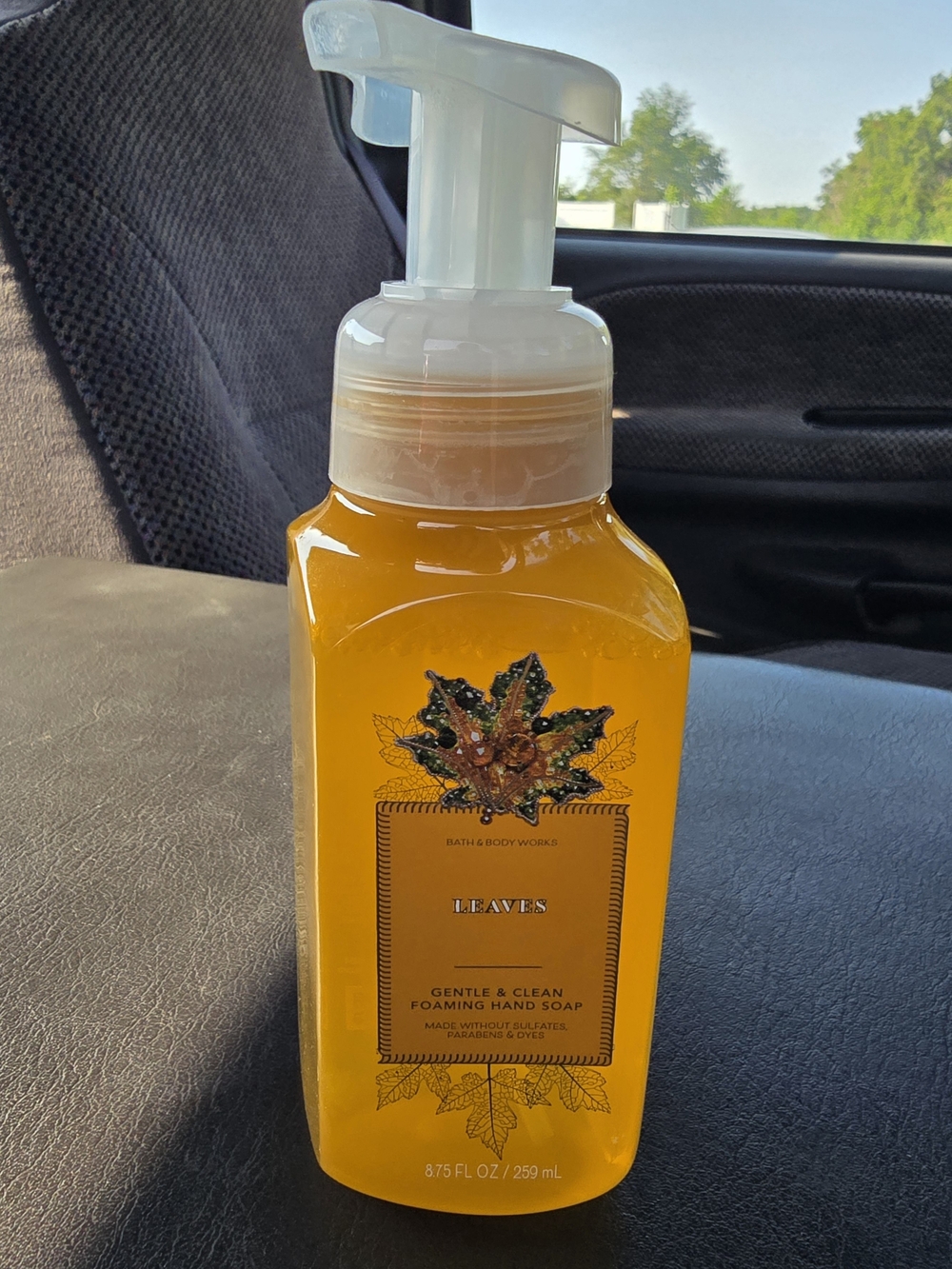 Bath & Body Works Leaves foaming hand soap